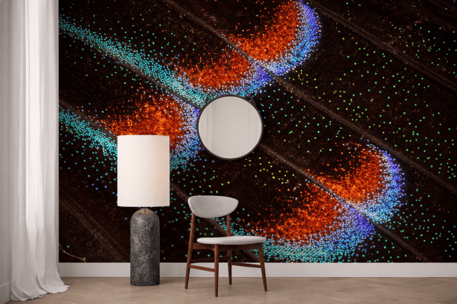 Iridescent Wing Pattern