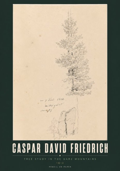 Caspar David Friedrich Tree Study in the Harz Mountains No2 - Poszter