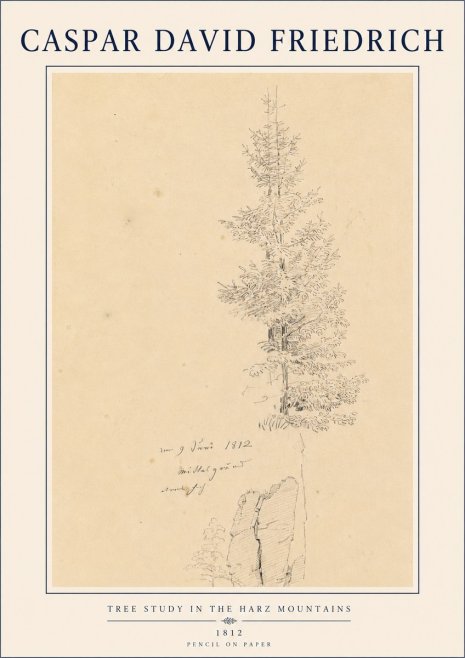 Caspar David Friedrich Tree Study in the Harz Mountains No4 - Poszter