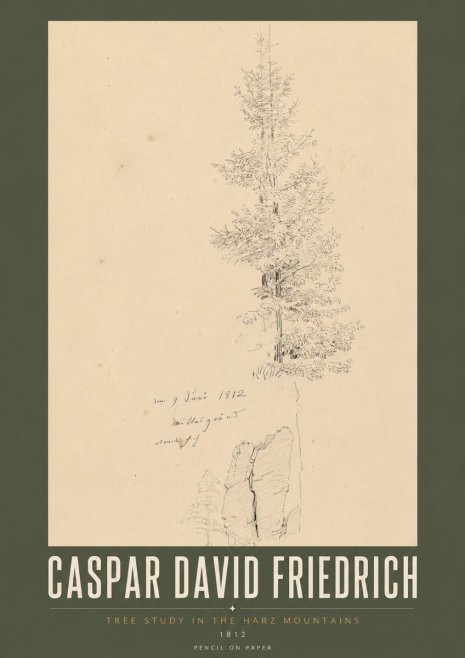 Caspar David Friedrich Tree Study in the Harz Mountains No5 - Poszter