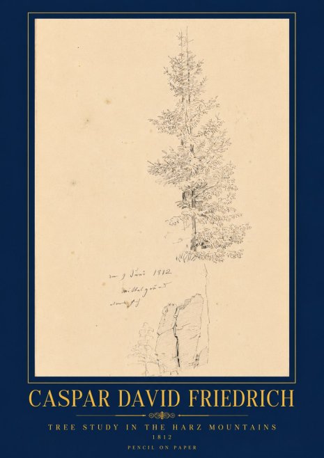 Caspar David Friedrich Tree Study in the Harz Mountains No6 - Poszter