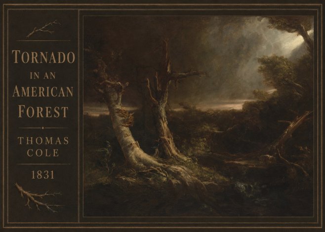 Thomas Cole Tornado in an American Forest No3 - Poszter