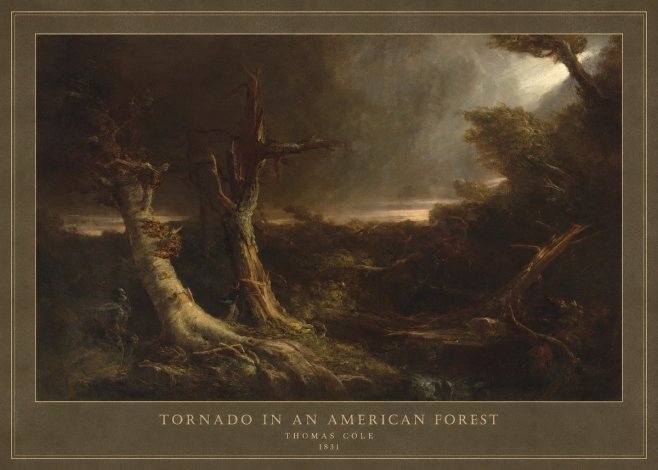 Thomas Cole Tornado in an American Forest No4 - Poszter
