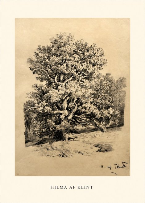Hilma af Klint Large Tree Landscape No1 - Poszter