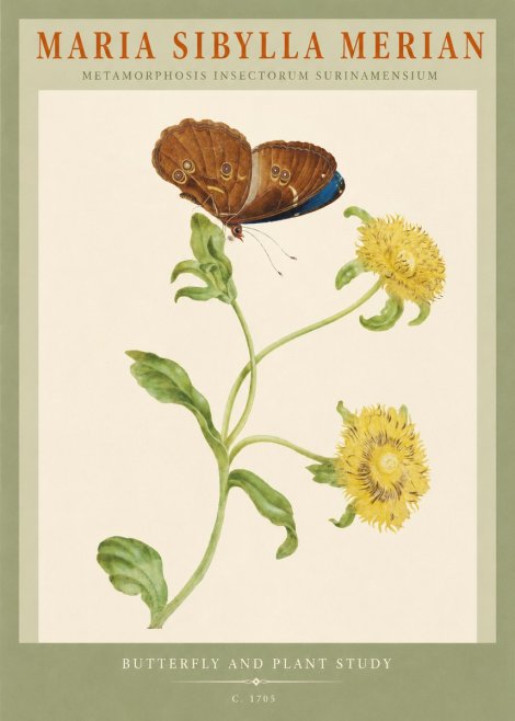 Maria Sibylla Merian Butterfly and Plant Study No2 - Poszter