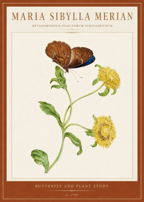 Maria Sibylla Merian Butterfly and Plant Study No5 - Poszter
