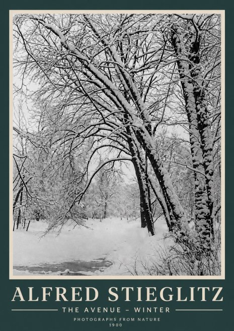 Alfred Stieglitz The Avenue – Winter No3 - Poszter
