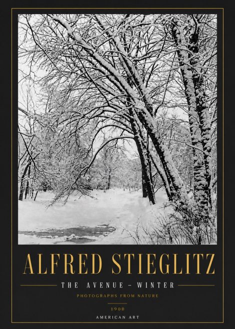 Alfred Stieglitz The Avenue – Winter No6 - Poszter