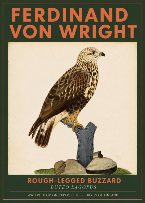 Ferdinand von Wright Rough-legged Buzzard No2 - Poszter