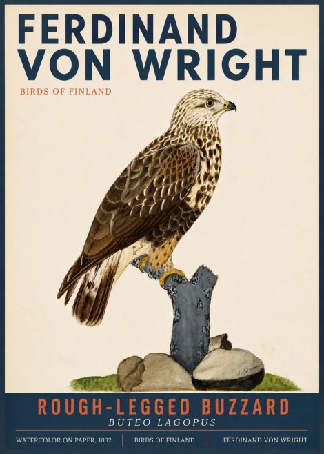 Ferdinand von Wright Rough-legged Buzzard No3 - Poszter