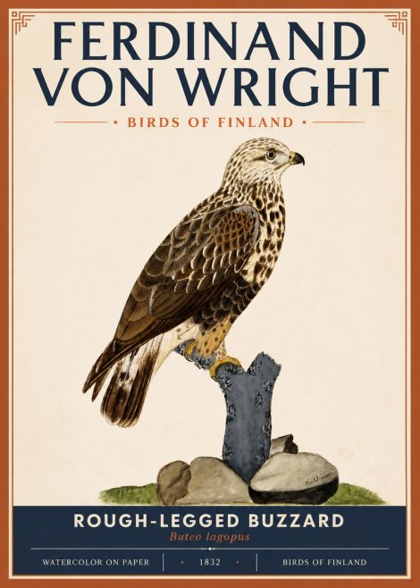 Ferdinand von Wright Rough-legged Buzzard No5 - Poszter