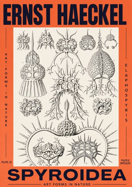 Ernst Haeckel Spyroidea - Puffball Radiolarians - Plate 22 No3 - Poszter