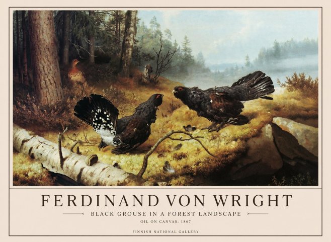 Ferdinand von Wright Black Grouse in a Forest Landscape No1 - Poszter