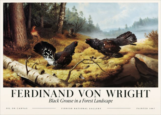 Ferdinand von Wright Black Grouse in a Forest Landscape No3 - Poszter