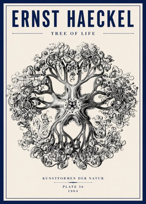 Ernst Haeckel Tree-like Organism No6 - Poszter