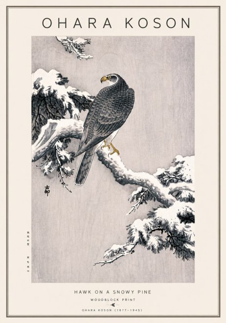 Ohara Koson Hawk on a Snowy Pine No5 - Poszter