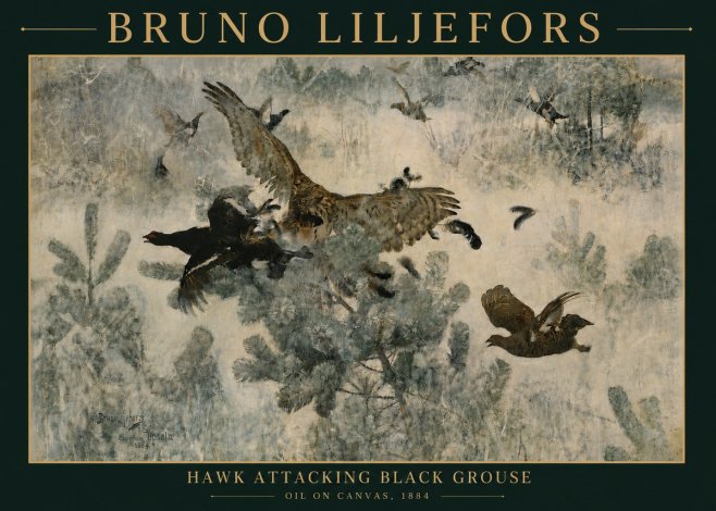 Bruno Liljefors Hawk Attacking Black Grouse No4 - Poszter