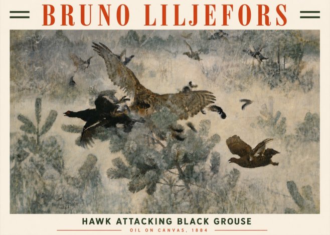 Bruno Liljefors Hawk Attacking Black Grouse No6 - Poszter