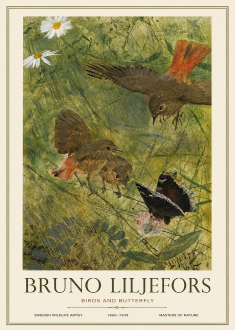 Bruno Liljefors Birds and Butterfly No1 - Poszter