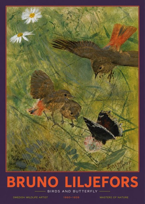 Bruno Liljefors Birds and Butterfly No2 - Poszter