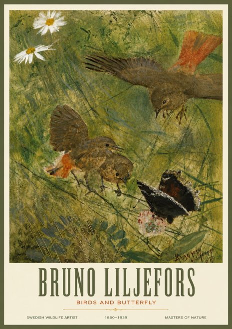 Bruno Liljefors Birds and Butterfly No3 - Poszter