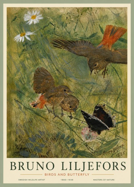 Bruno Liljefors Birds and Butterfly No5 - Poszter