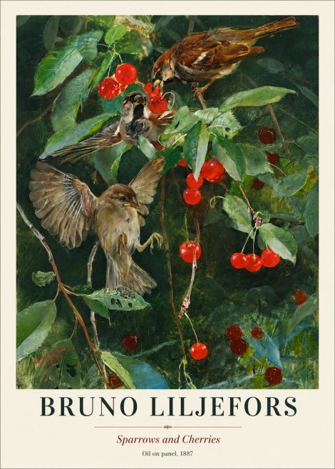 Bruno Liljefors Sparrows and Cherries No1 - Poszter