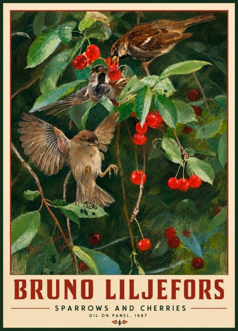 Bruno Liljefors Sparrows and Cherries No2 - Poszter