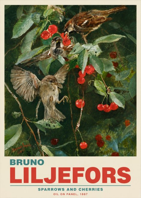 Bruno Liljefors Sparrows and Cherries No5 - Poszter