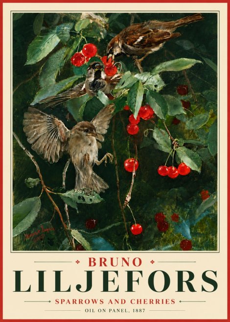 Bruno Liljefors Sparrows and Cherries No6 - Poszter