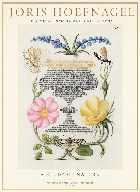 Joris Hoefnagel A Study of Nature I No1 - Poszter