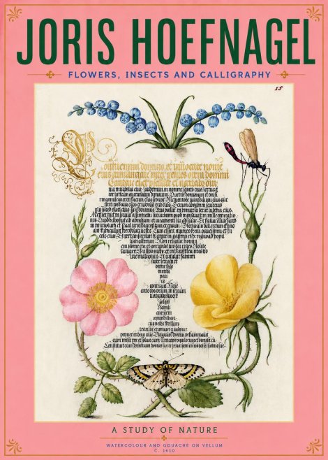 Joris Hoefnagel A Study of Nature I No5 - Poszter
