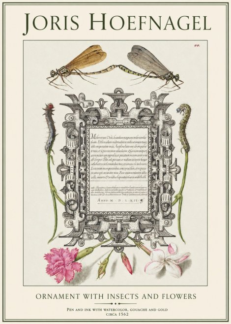 Joris Hoefnagel Ornamental Frame with Damselflies, Caterpillars and Flowers No2 - Poszter