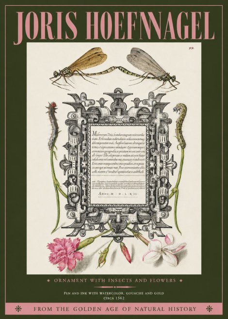 Joris Hoefnagel Ornamental Frame with Damselflies, Caterpillars and Flowers No4 - Poszter