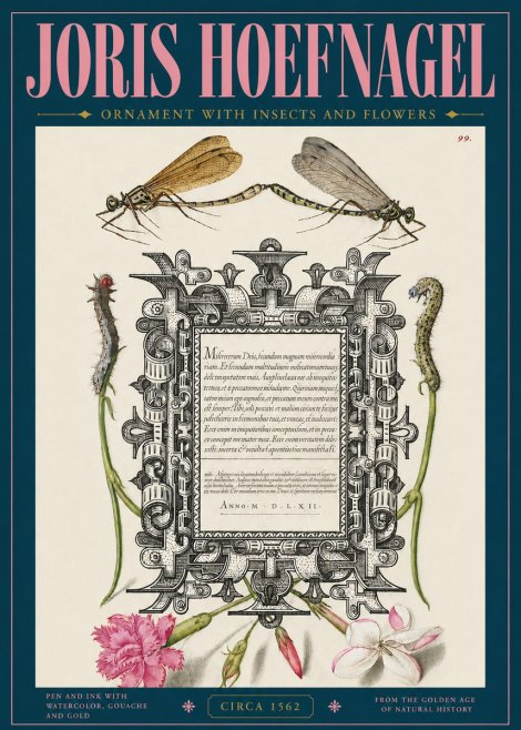 Joris Hoefnagel Ornamental Frame with Damselflies, Caterpillars and Flowers No5 - Poszter