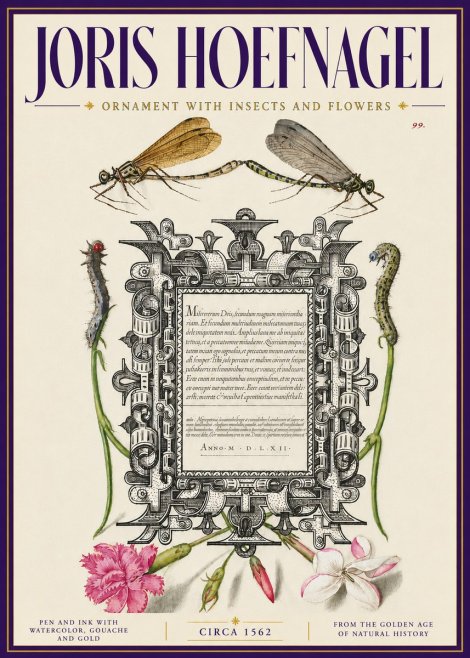Joris Hoefnagel Ornamental Frame with Damselflies, Caterpillars and Flowers No6 - Poszter