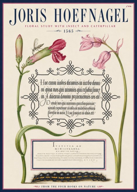 Joris Hoefnagel Floral Study with Insect and Caterpillar No4 - Poszter