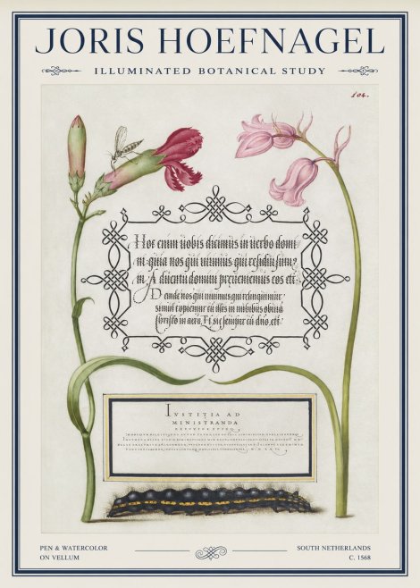 Joris Hoefnagel Floral Study with Insect and Caterpillar No5 - Poszter