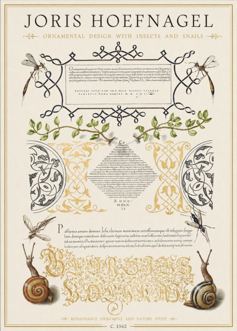 Joris Hoefnagel Memento Mori No2 - Poszter