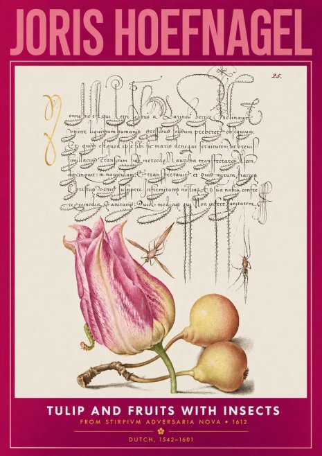 Joris Hoefnagel Tulip and Fruits with Insects No2 - Poszter