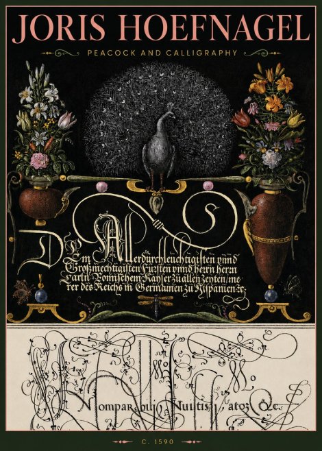 Joris Hoefnagel Peacock and Calligraphy No4 - Poszter