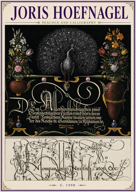 Joris Hoefnagel Peacock and Calligraphy No6 - Poszter