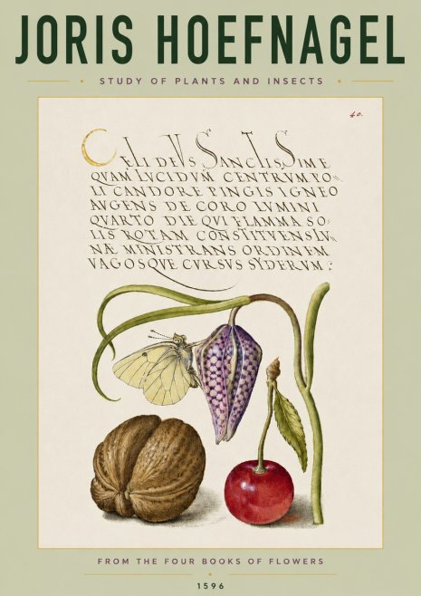 Joris Hoefnagel Study of Plants and Insects No4 - Poszter