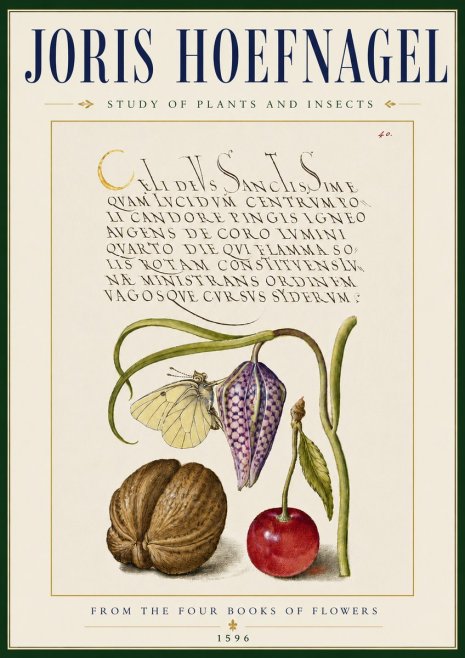 Joris Hoefnagel Study of Plants and Insects No5 - Poszter