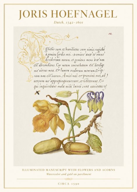 Joris Hoefnagel Illuminated Manuscript with Flowers and Acorns No1 - Poszter