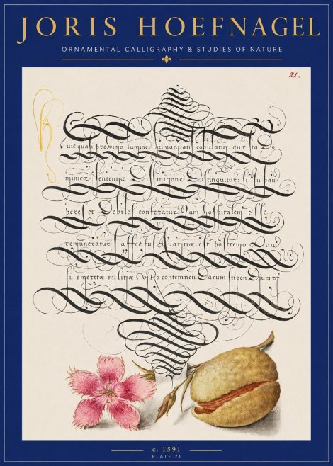 Joris Hoefnagel Ornamental Calligraphy & Studies of Nature No2 - Poszter