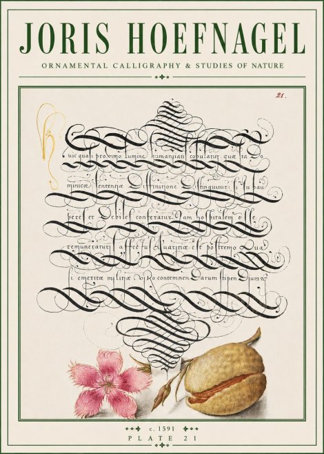 Joris Hoefnagel Ornamental Calligraphy & Studies of Nature No4 - Poszter