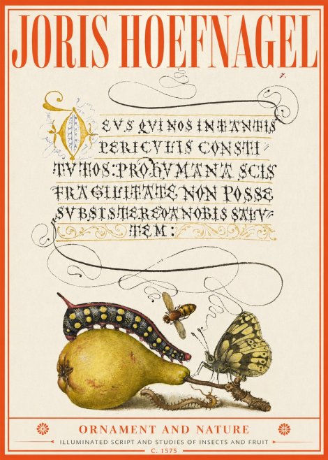 Joris Hoefnagel Ornament and Nature - Illuminated Script and Studies of Insects and Fruit No2 - Poszter