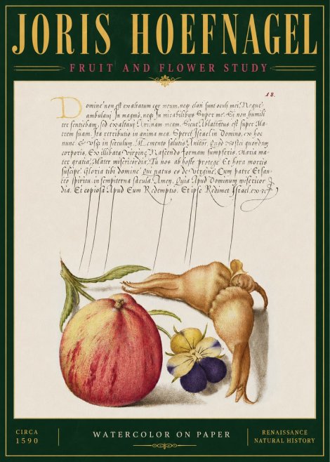Joris Hoefnagel Fruit and Flower Study No4 - Poszter