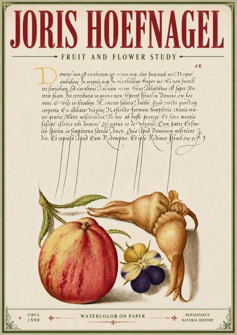 Joris Hoefnagel Fruit and Flower Study No6 - Poszter